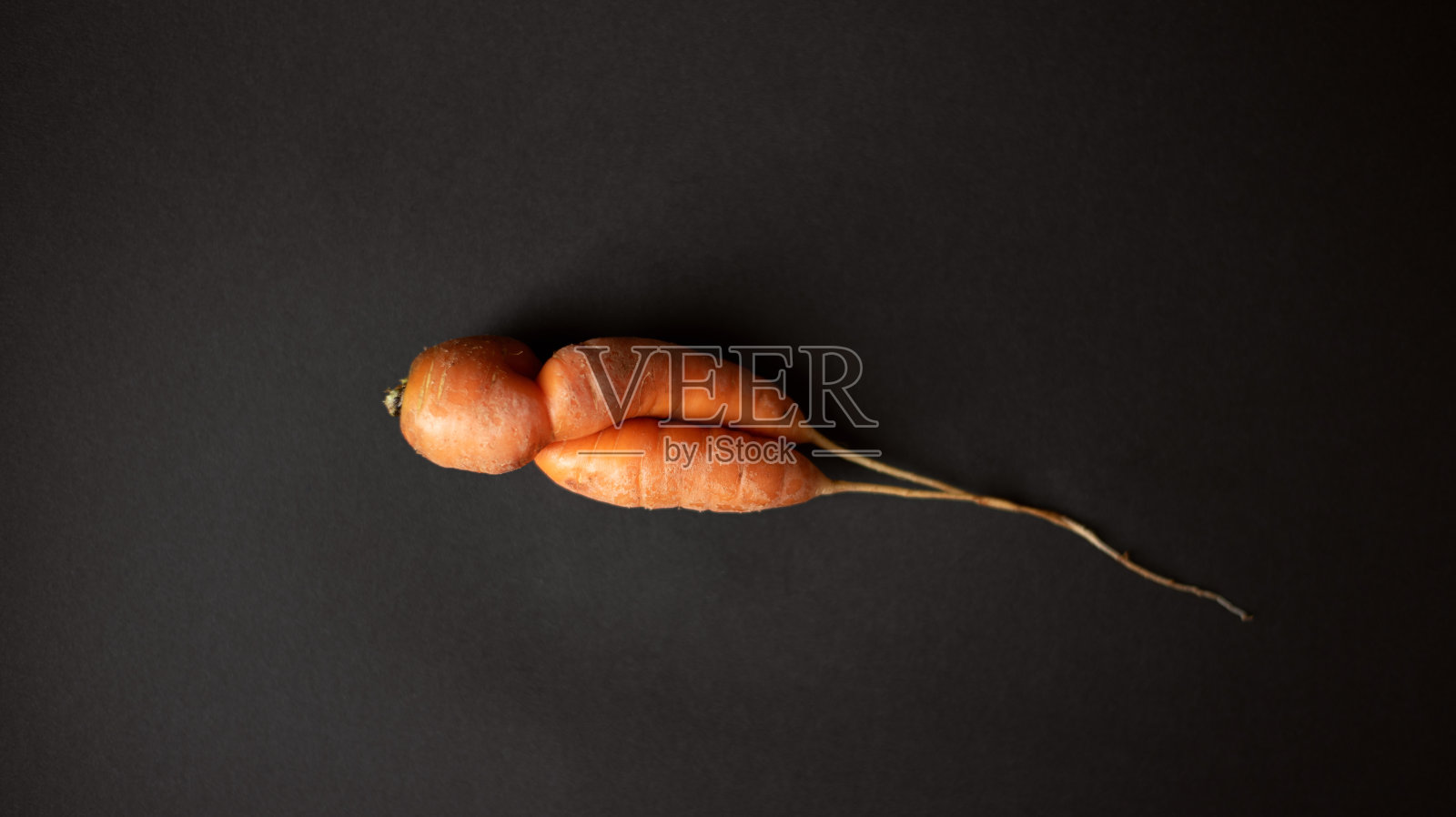 黑色背景上的丑陋胡萝卜照片摄影图片