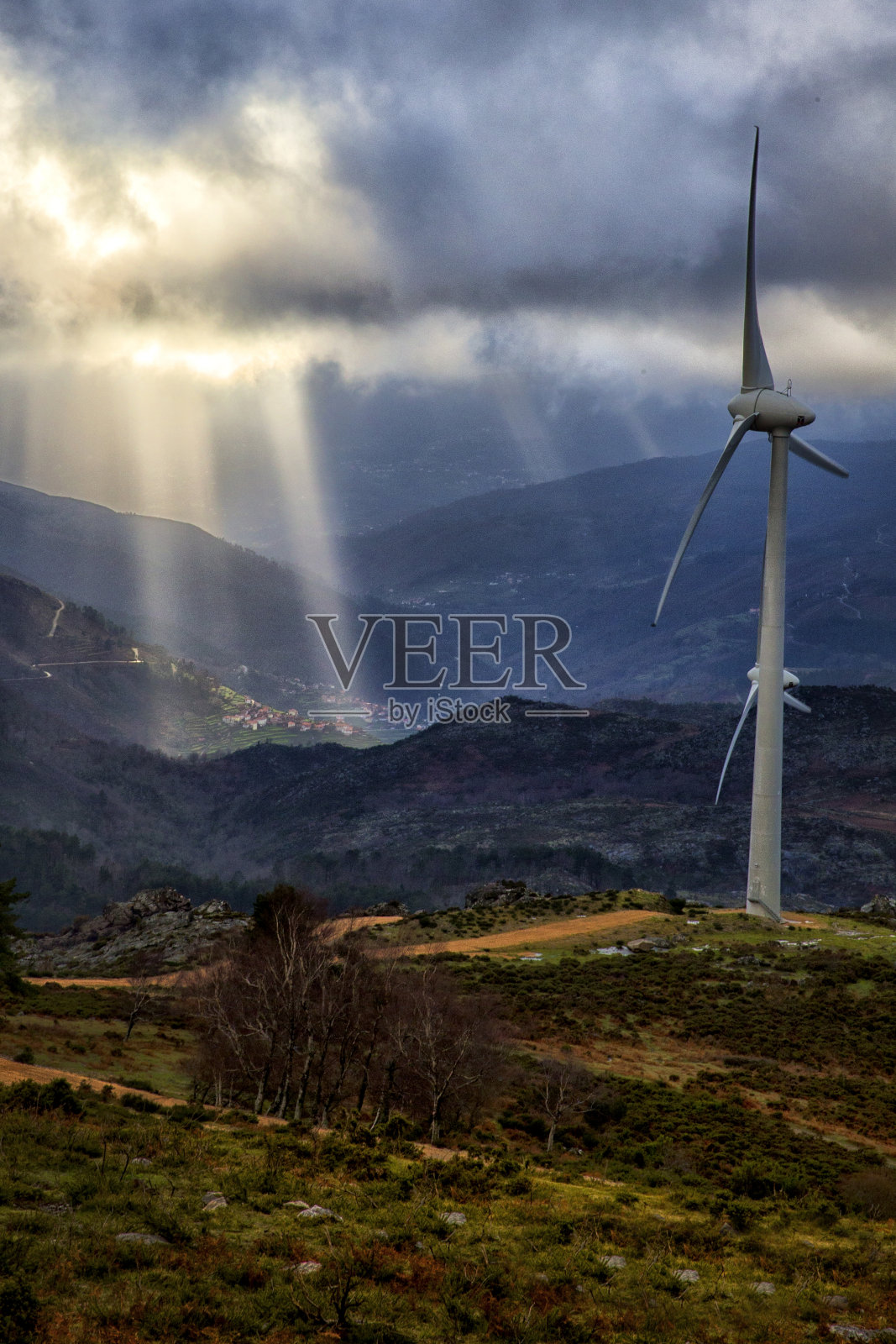 上能看到sistelo照片摄影图片