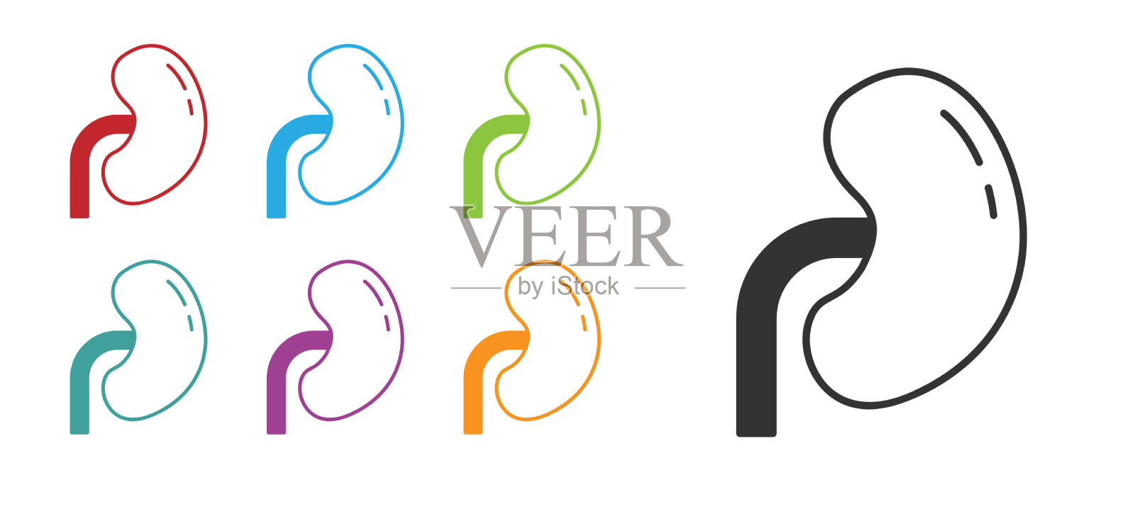 白色上分离出黑色人肾插画图片素材