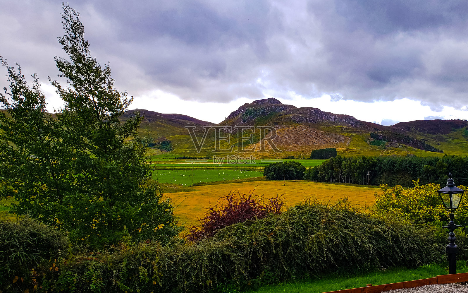 拉根菲尔德照片摄影图片
