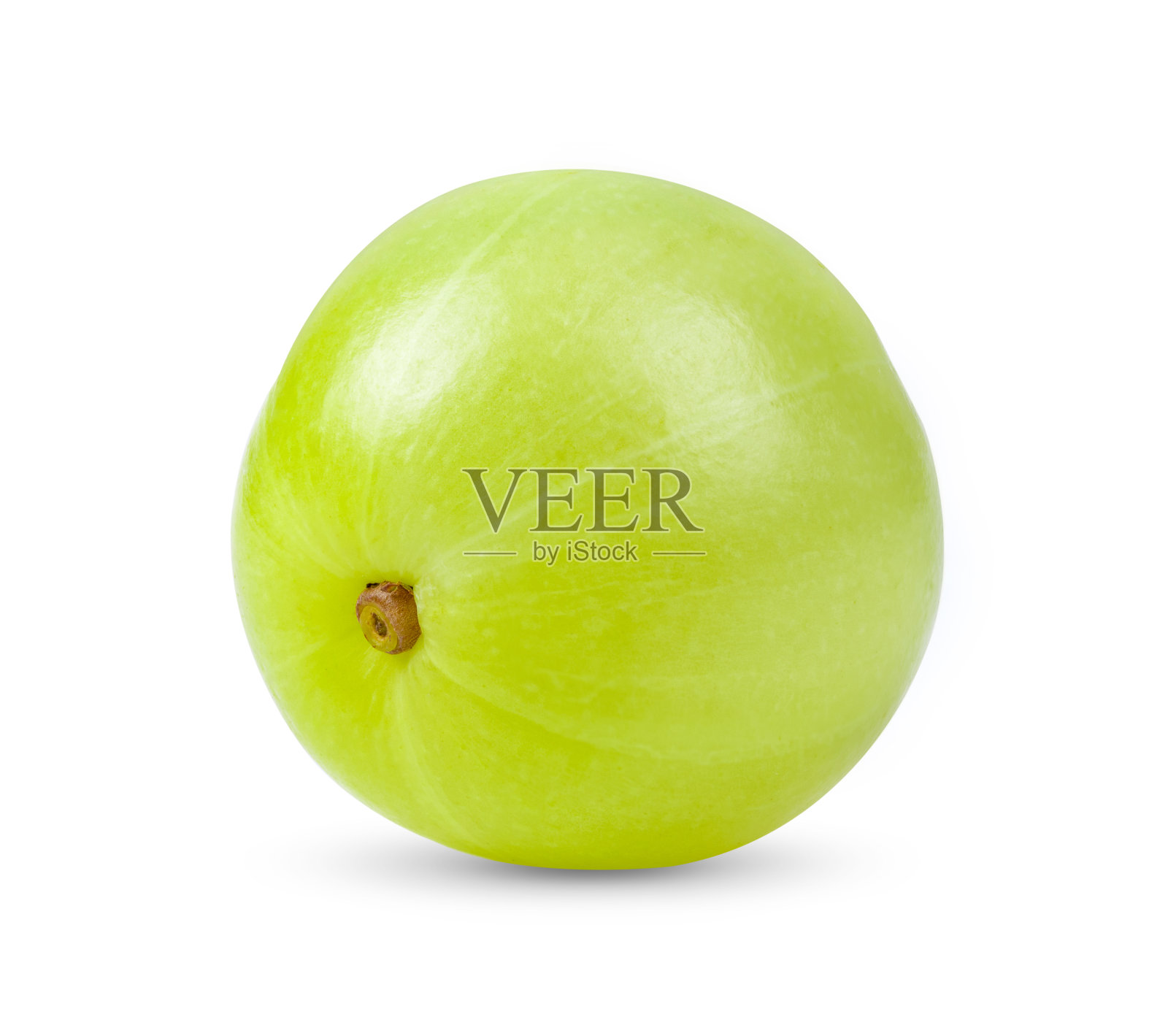 白色的印度醋栗照片摄影图片