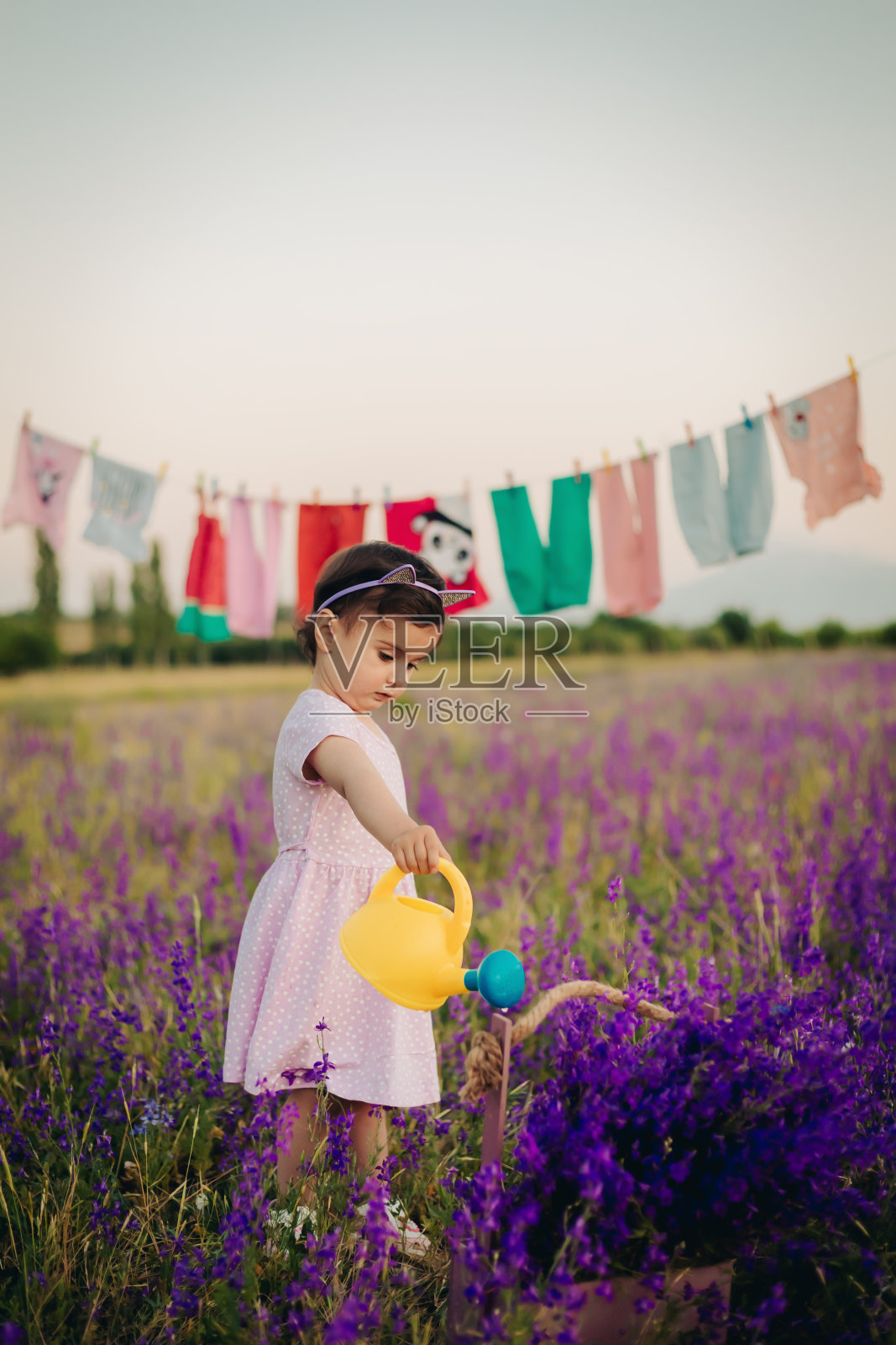 可爱的小女孩小心翼翼地用黄色喷壶浇薰衣草花照片摄影图片