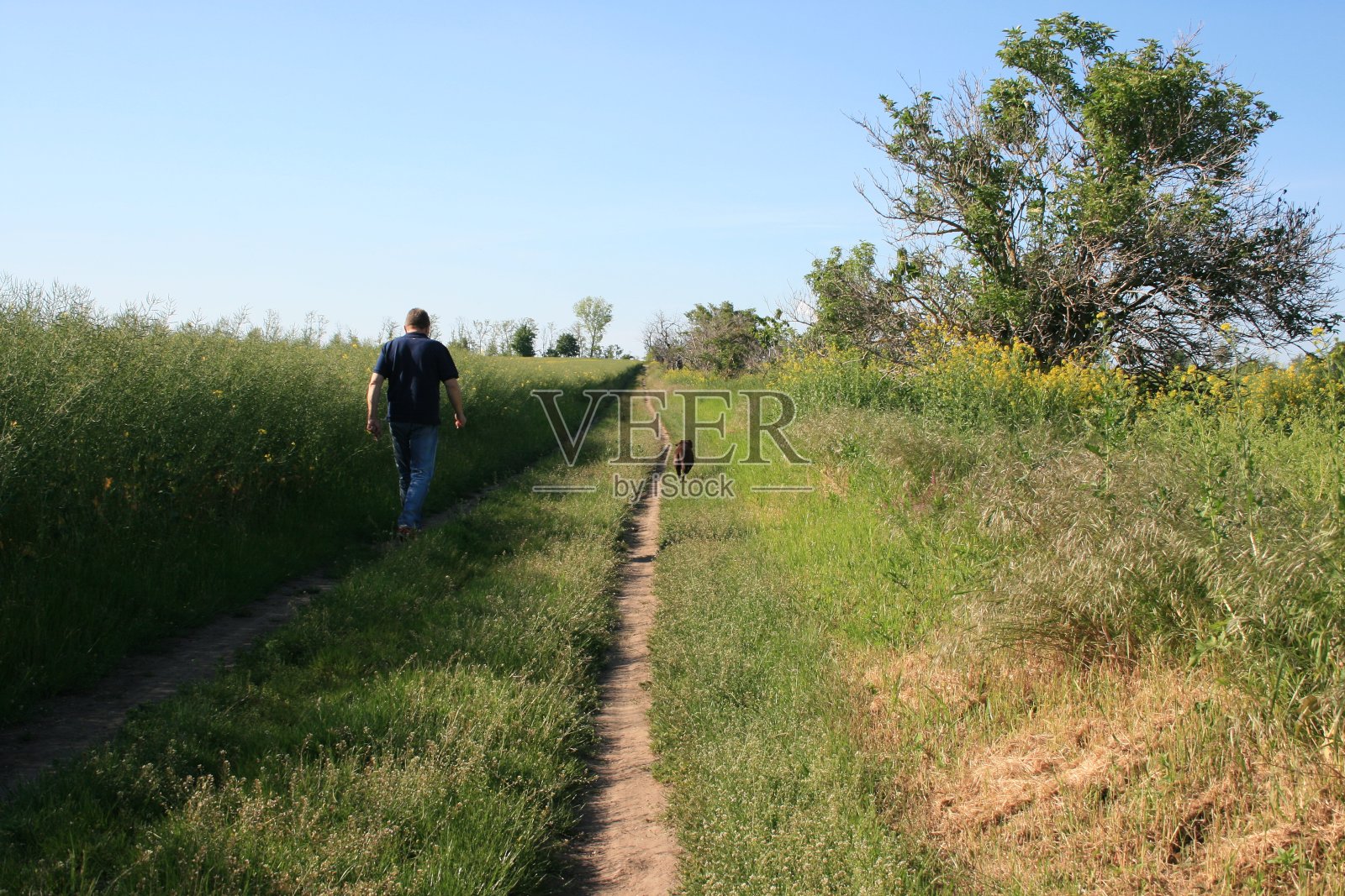 农田照片摄影图片