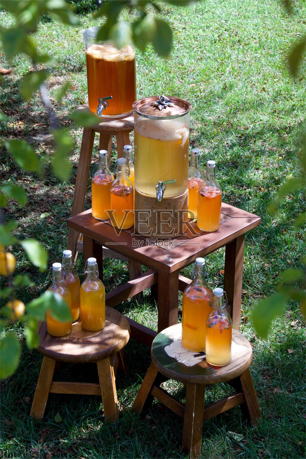 一瓶瓶美味健康的康普茶照片摄影图片