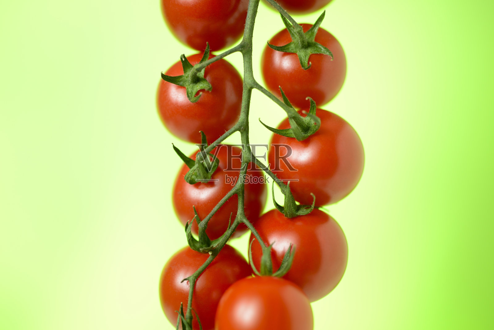 植绒的樱桃番茄照片摄影图片