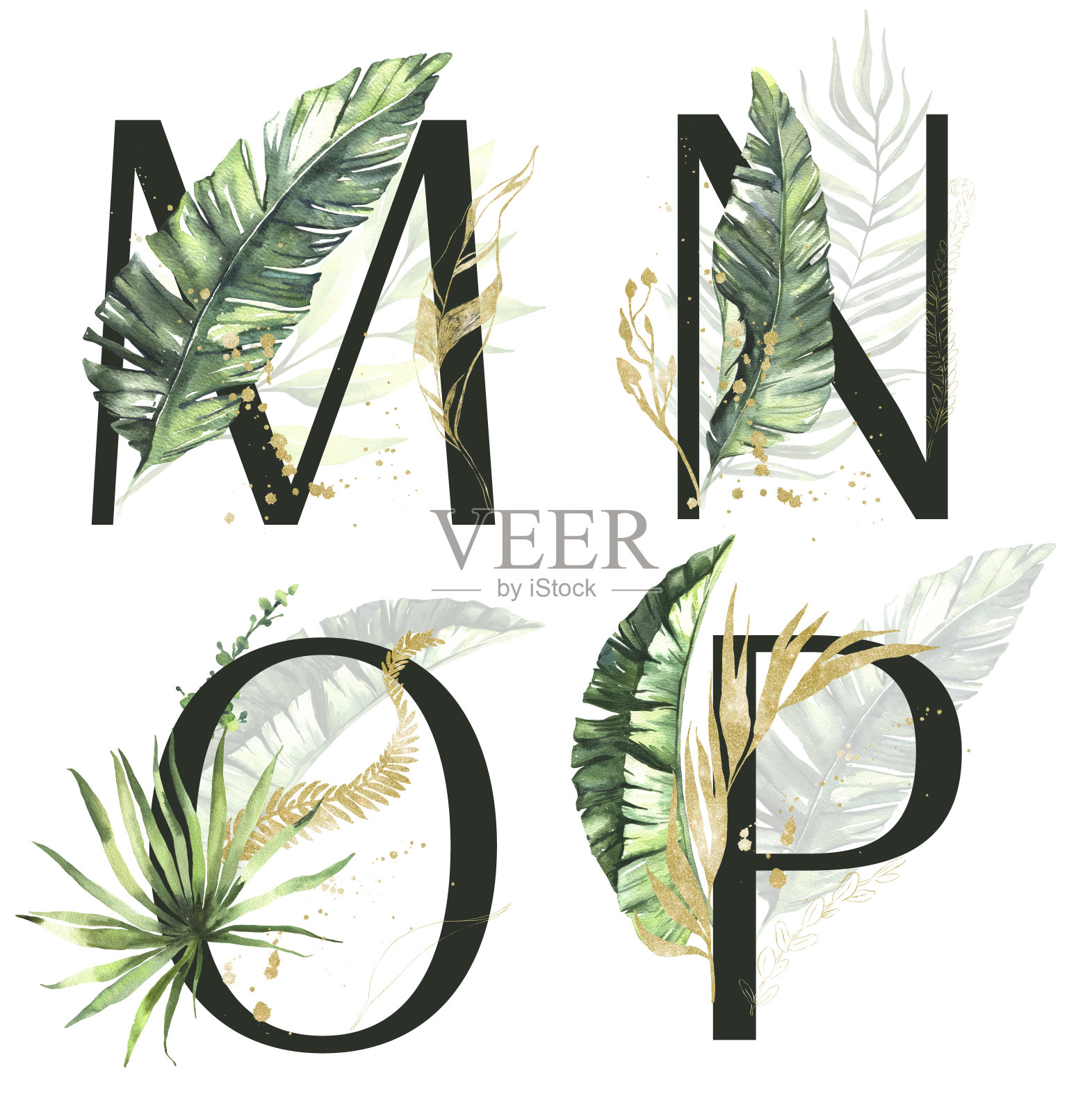 字母M, N, O, P与绿色和金色的热带树叶。热带风格的婚礼请柬和装饰插画图片素材