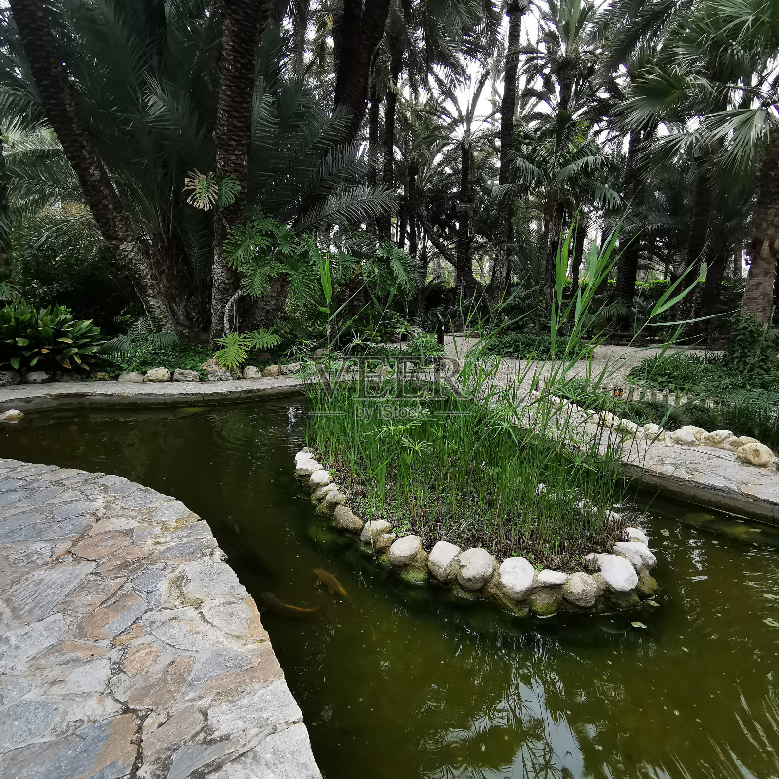 园林家居的景观设计照片摄影图片