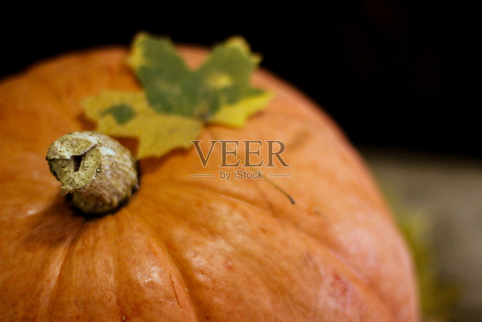 秋天的美丽照片。南瓜顶部照片摄影图片