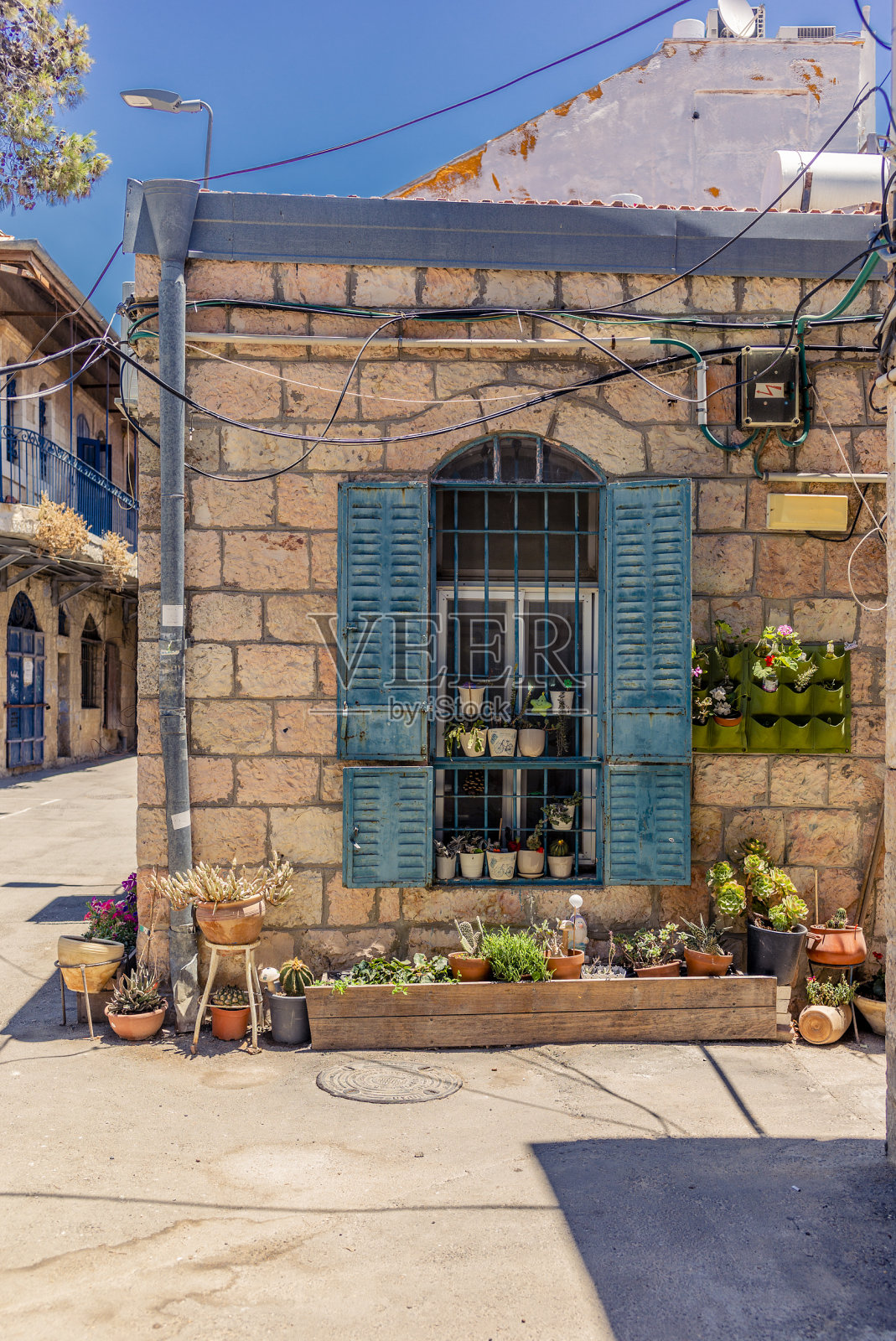 耶路撒冷纳赫拉奥特街区色彩缤纷的鲜花街道照片摄影图片