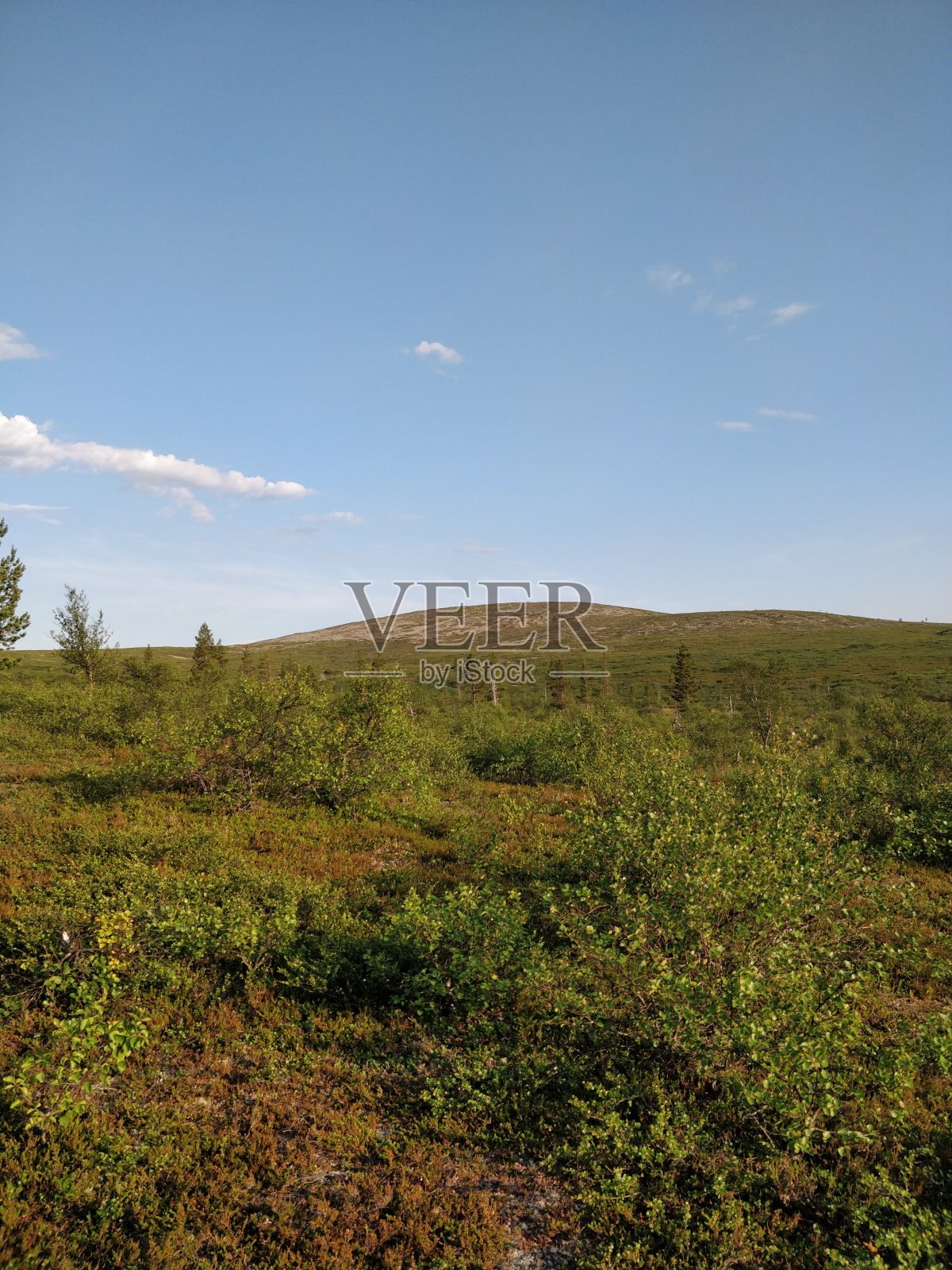 从拉普兰的山上看风景,草原自然照片摄影图片
