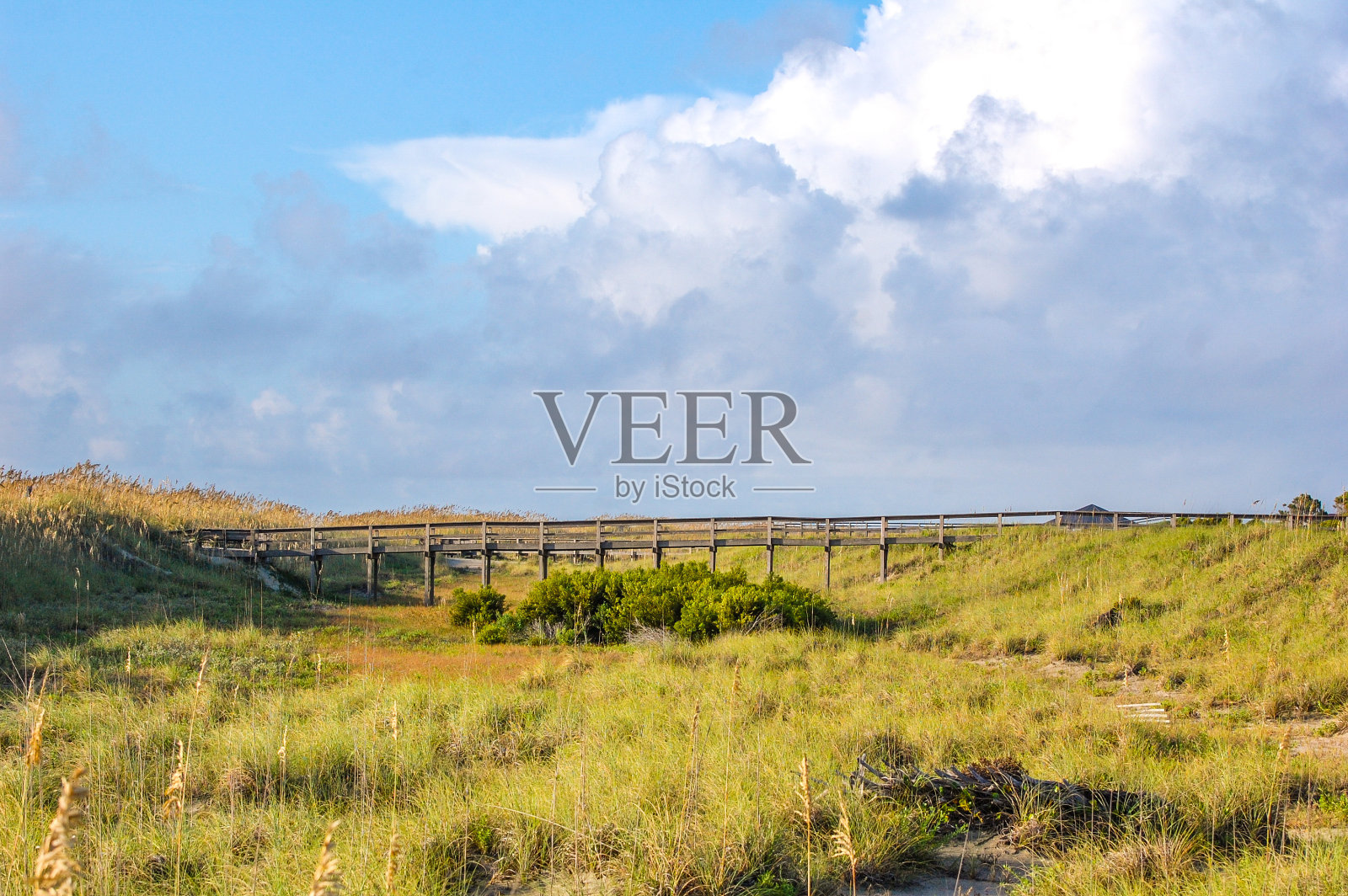 萨凡纳河沿岸照片摄影图片