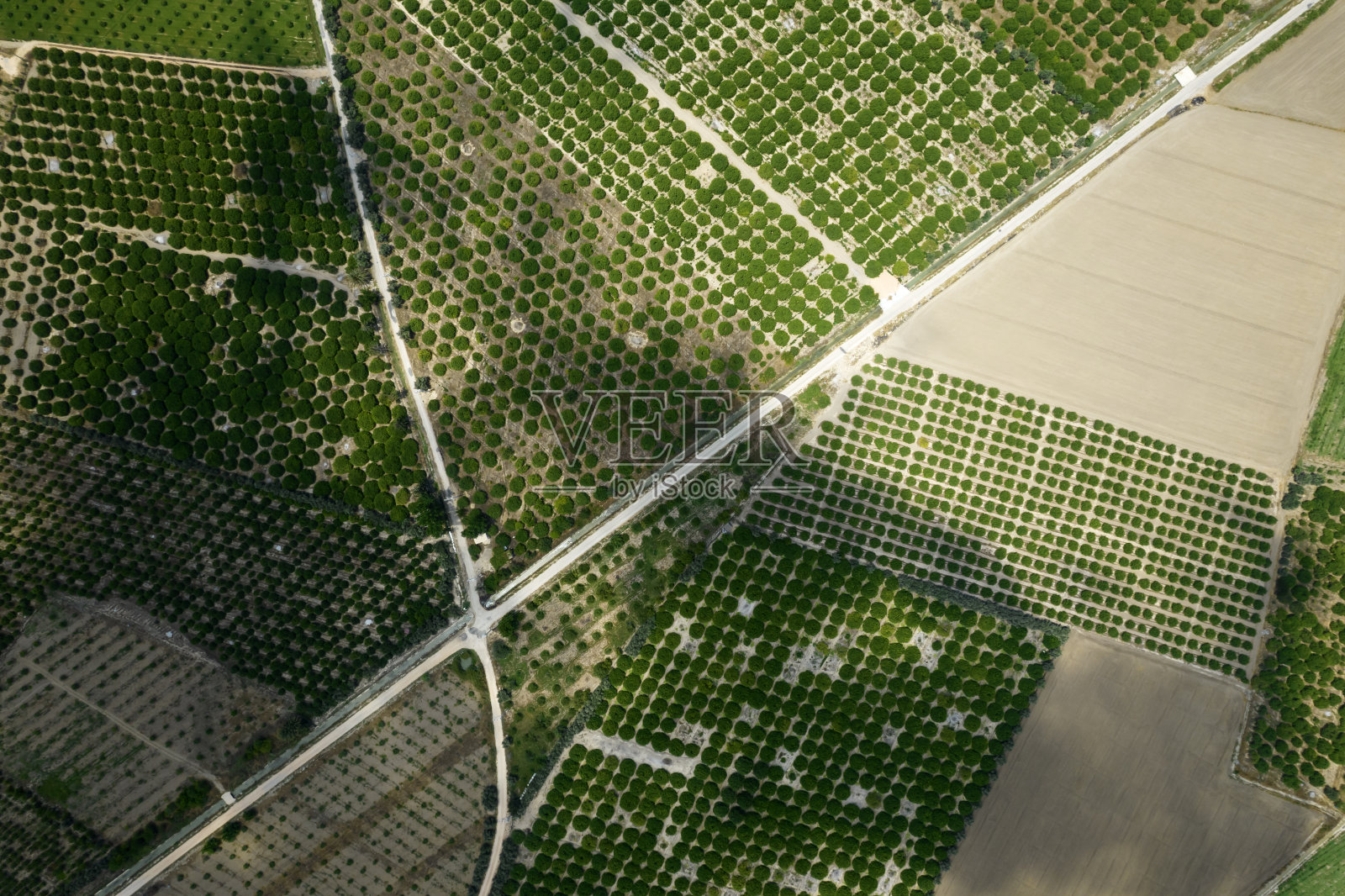 农田鸟瞰图照片摄影图片