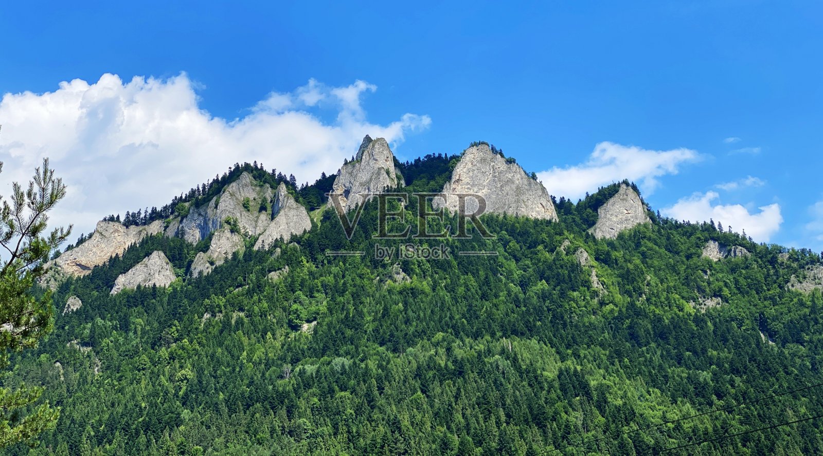 波兰Pieniny的山脉照片摄影图片