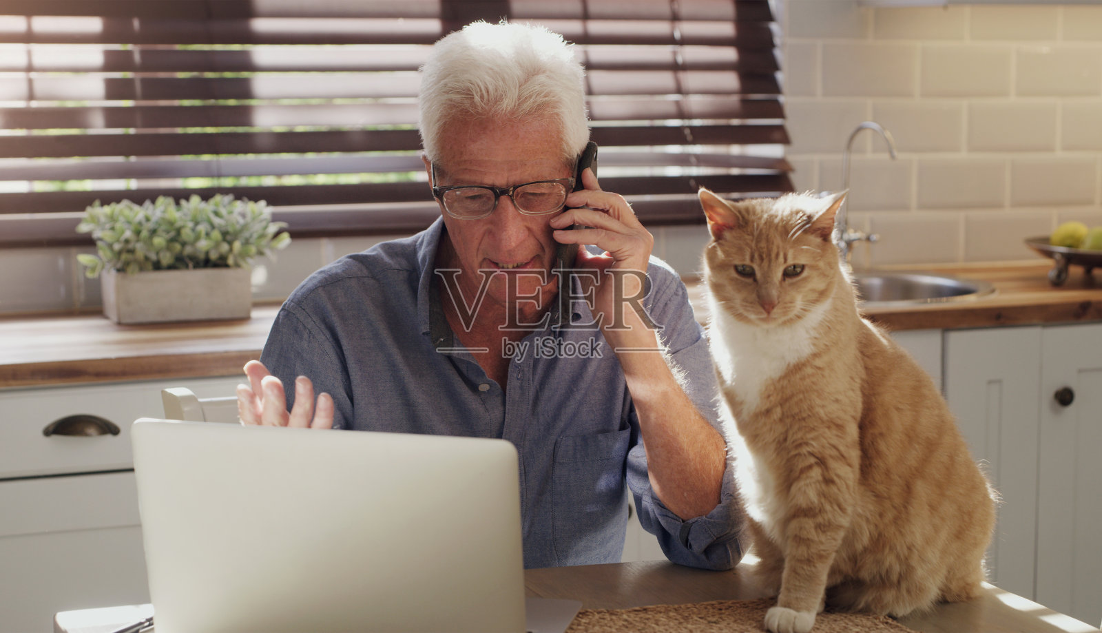 一个年长的男人独自坐在厨房和他的猫,在家里使用科技工作照片摄影图片