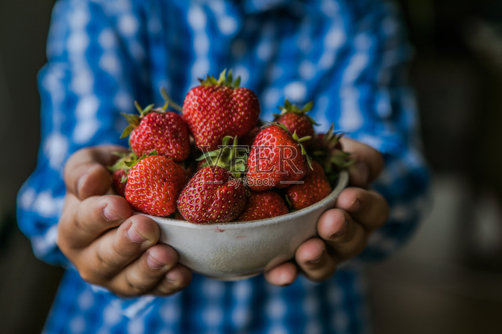 在阳光明媚的夏日,孩子们在果园里采摘草莓。孩子们手里拿着新鲜成熟的有机草莓照片摄影图片