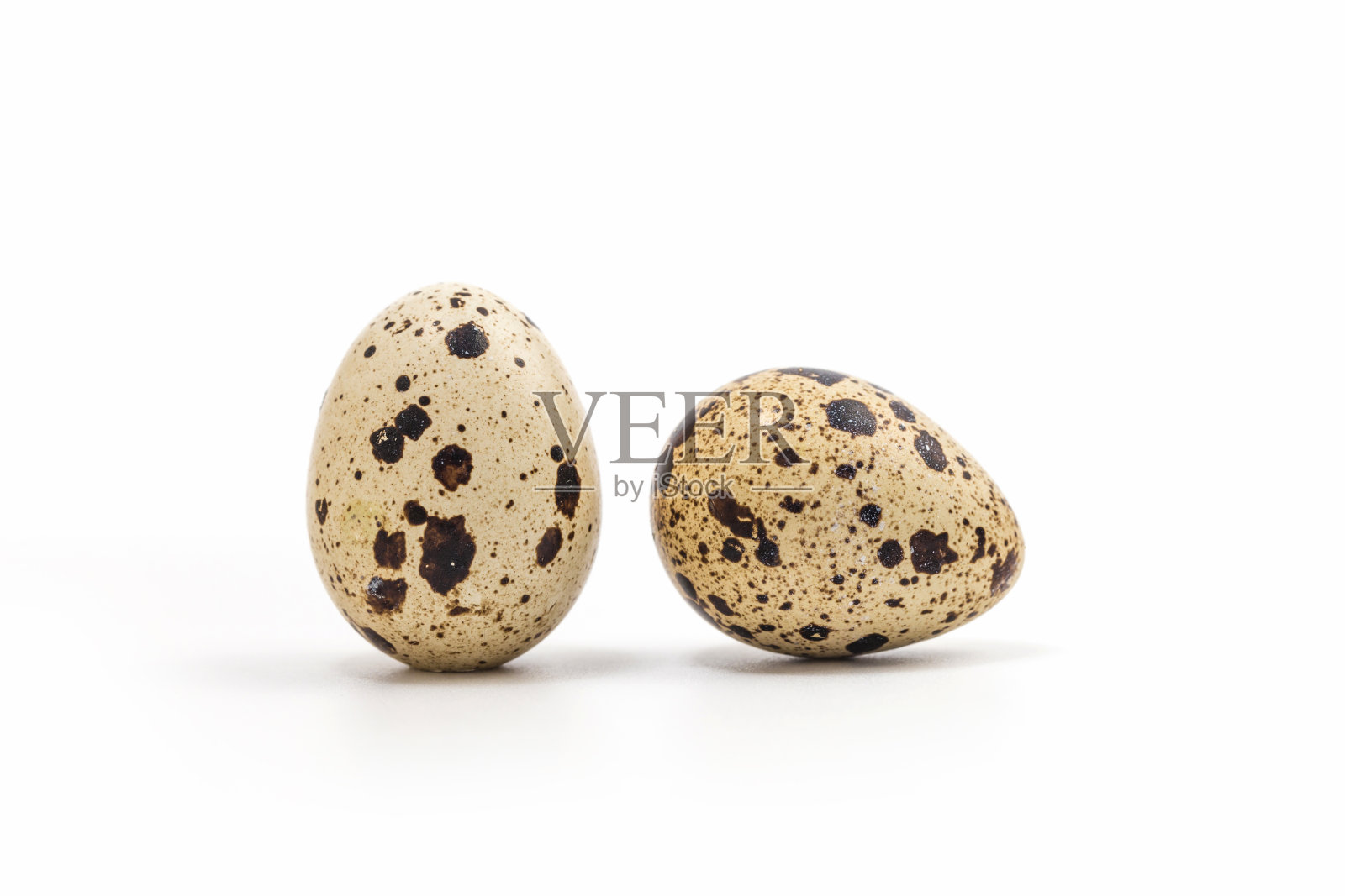 鹌鹑蛋照片摄影图片