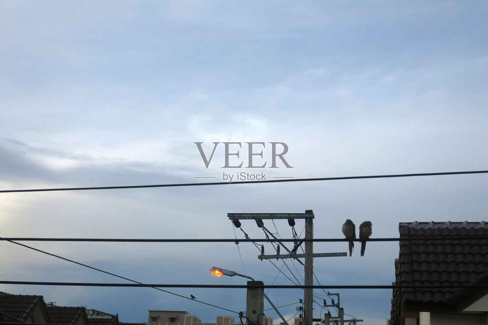 电杆上的灯泡,亚洲,泰国照片摄影图片