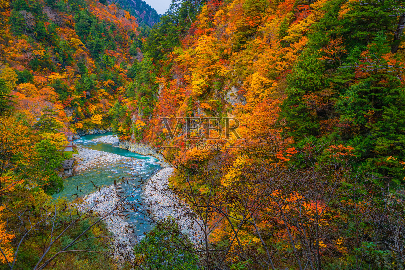 秋色在黑袍峡谷富山照片摄影图片