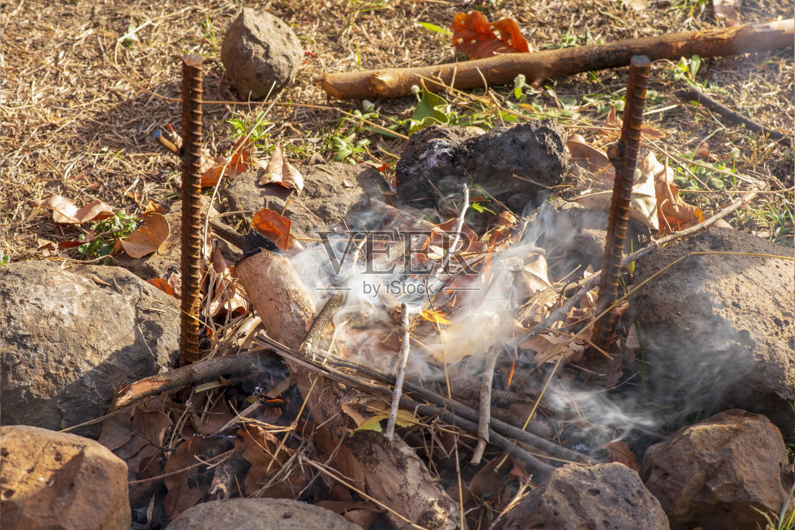 孩子们在乡村地区野营和做饭度假。照片摄影图片