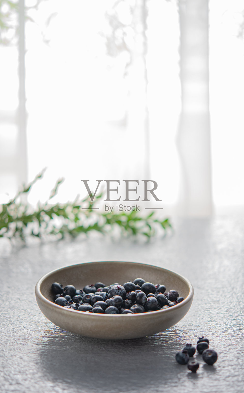 甜美新鲜的蓝莓在一个碗和绿色的树枝在桌子上在晨光的背景窗户。本空间照片摄影图片