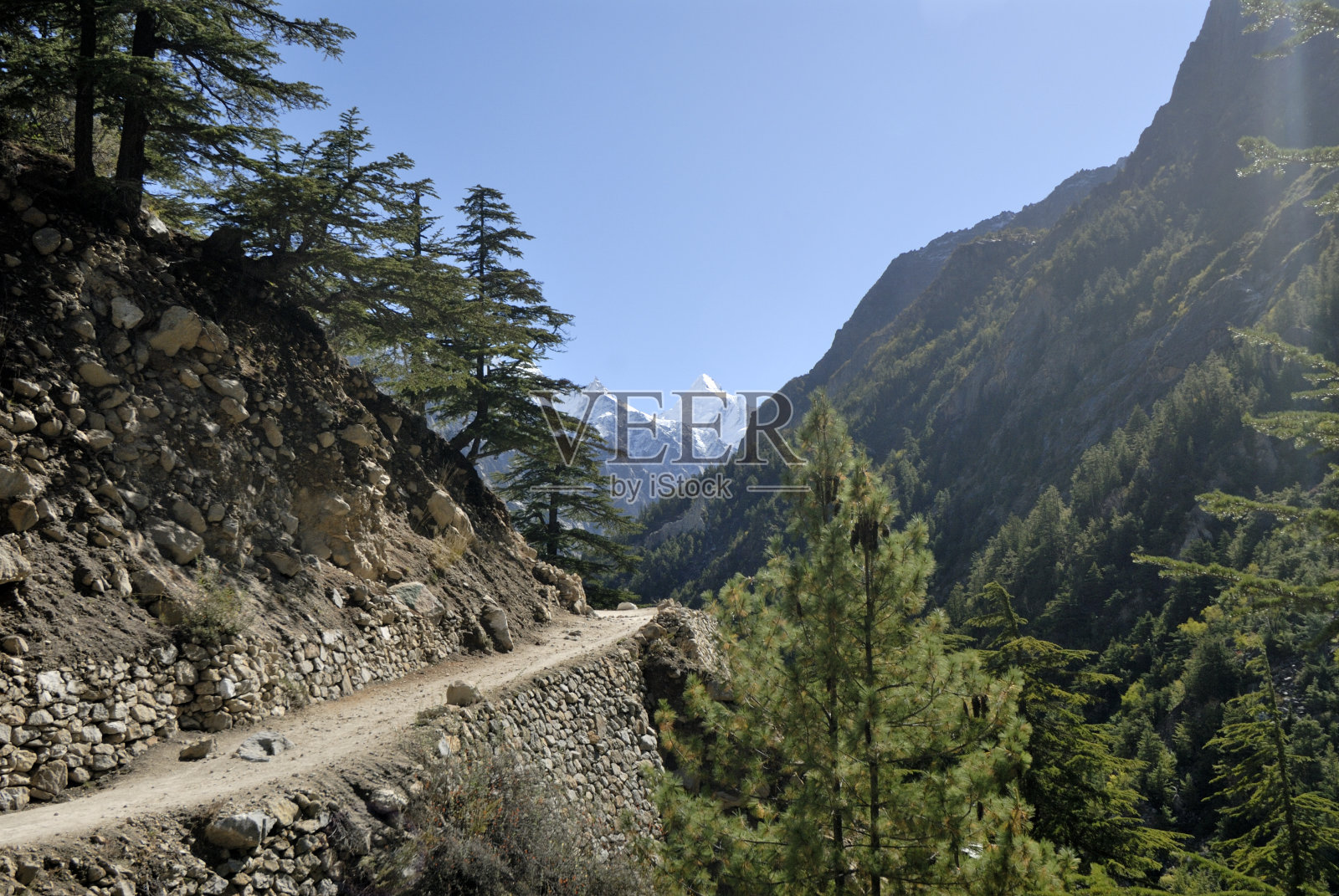 甘戈特里国家公园崎岖不平的道路照片摄影图片