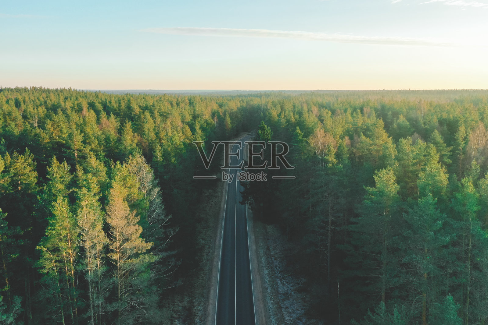 森林里长长的乡间小路照片摄影图片