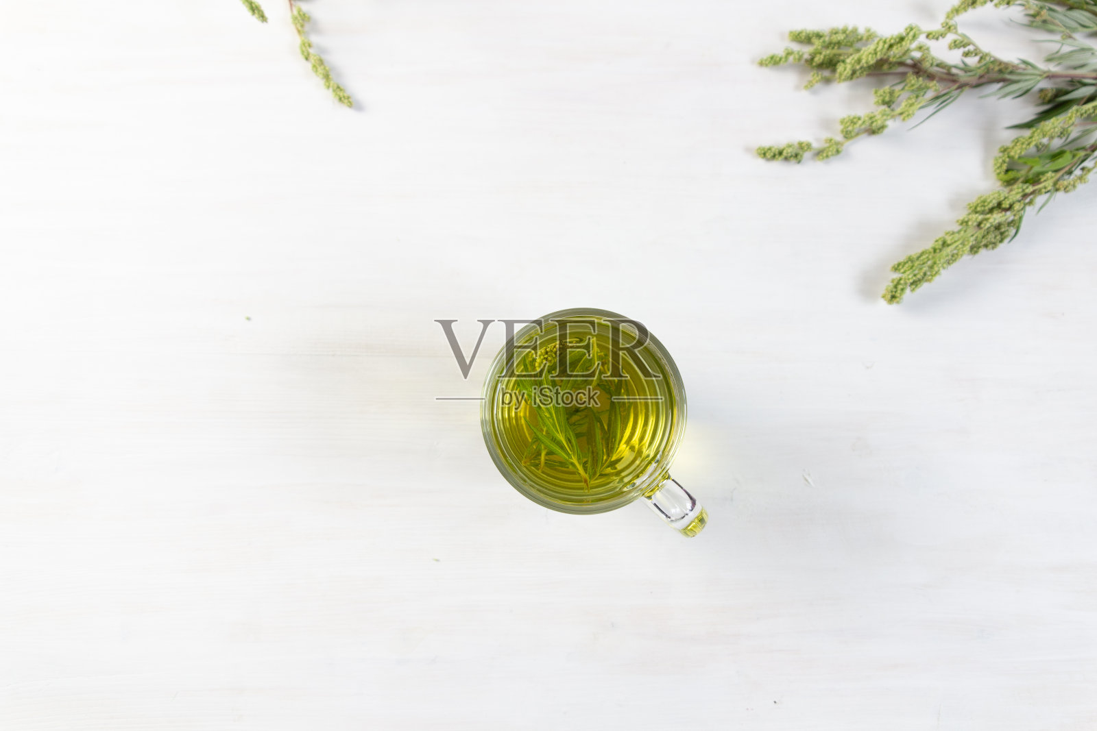 蒿属植物顶部有鲜花和白色的叶子照片摄影图片