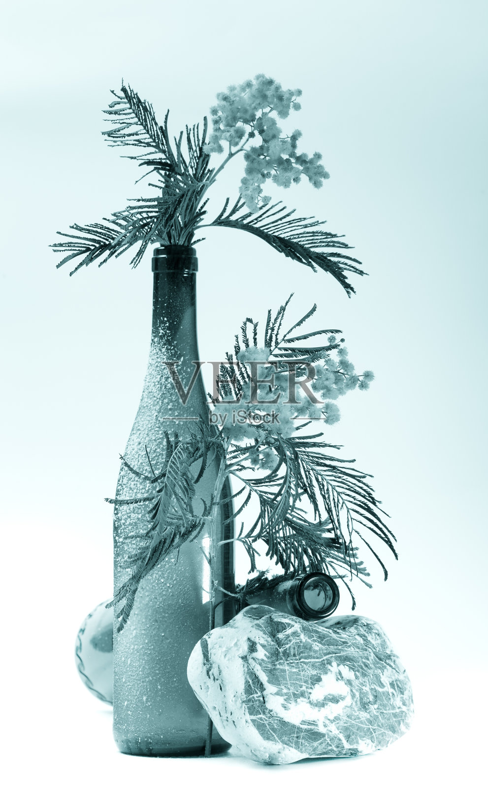 花岗岩的石头,瓶子里的雪和新鲜的含羞草,蓝色的照片摄影图片