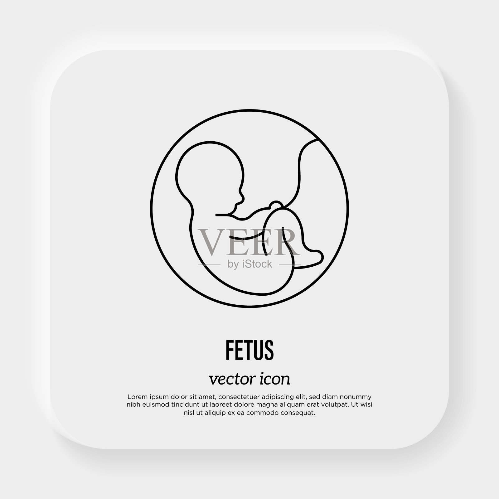 胎儿在子宫内的发育妇科生殖。细线图标。矢量插图。插画图片素材