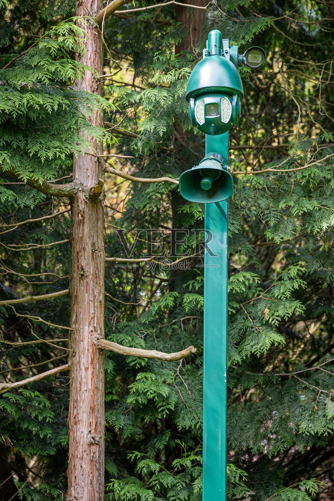 公园林区的扬声器和监控摄像头照片摄影图片