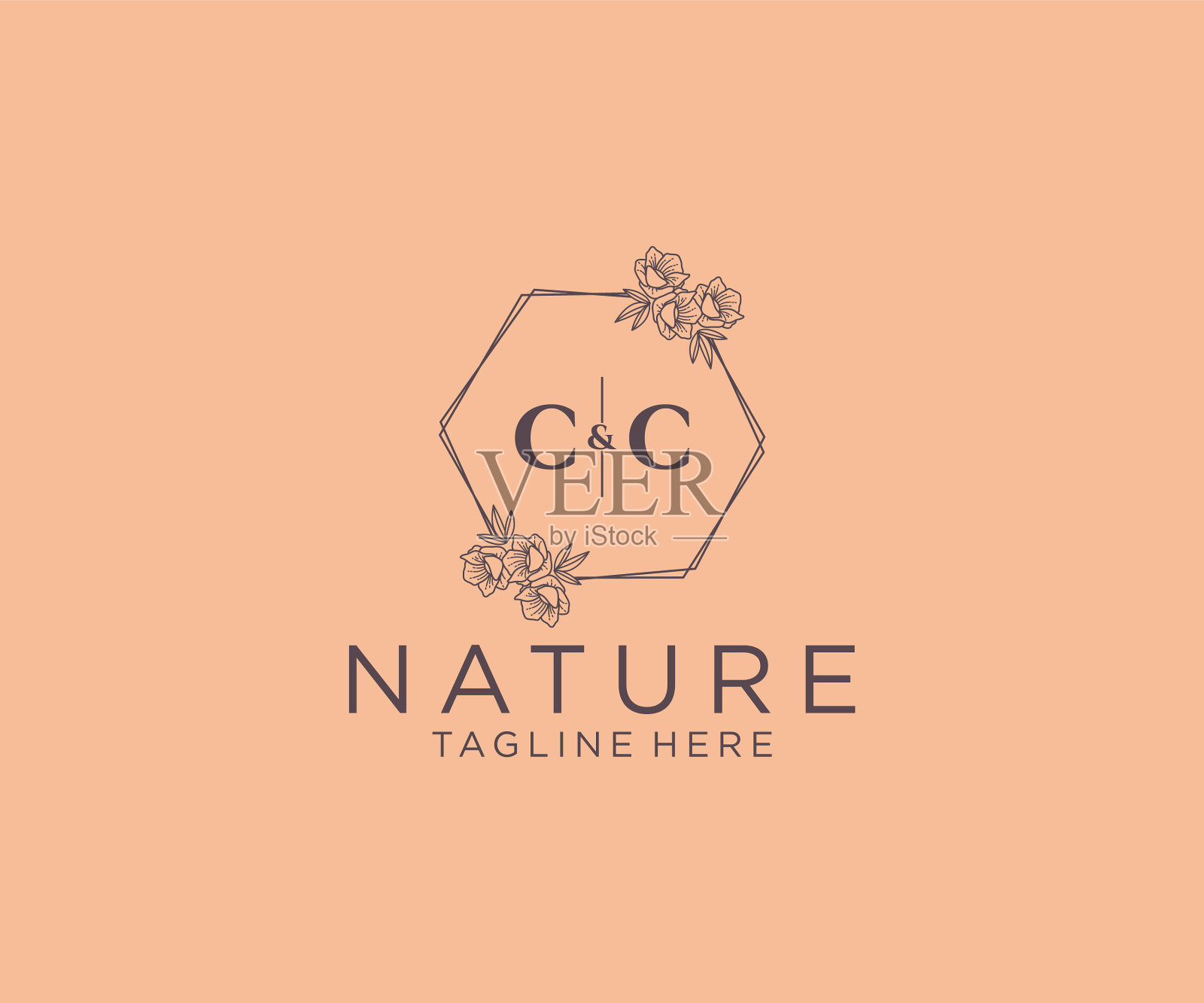 最初的cc字母花框架植物学插画图片素材