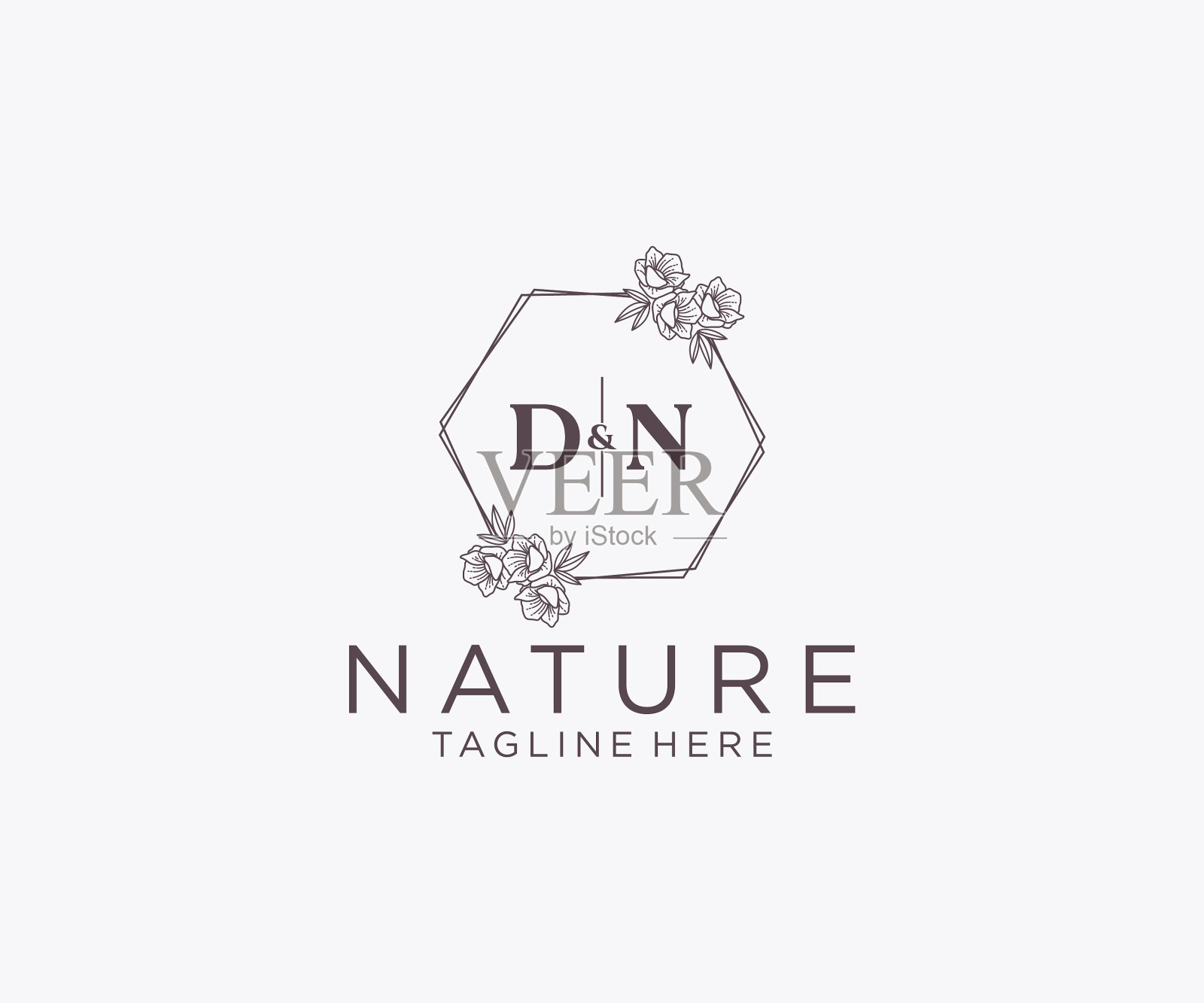 最初的dn字母花框架植物学的插画图片素材