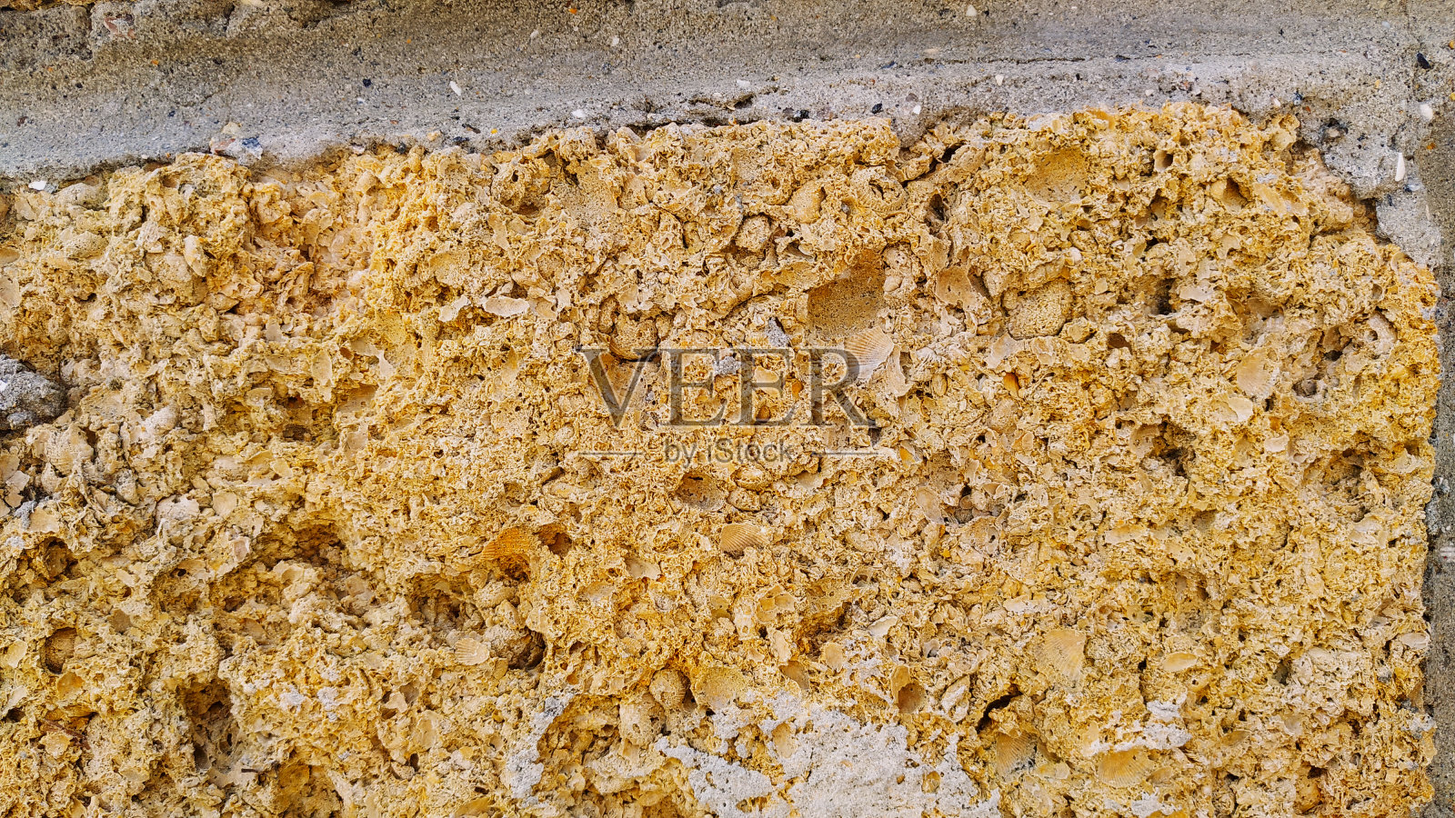 壳岩石纹理。瘸腿石头躺。这种岩石具有带有贝壳的粒状结构。凹凸不平、粗糙的石材表面。自然背景。高质量的照片。水平的特写照片摄影图片