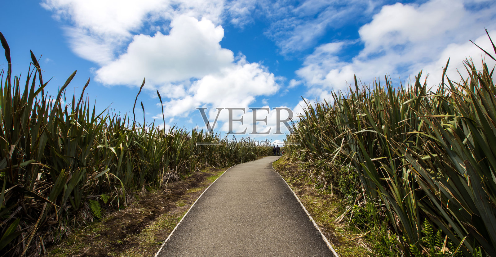 多云蓝天小路和岩石海岸散步路照片摄影图片