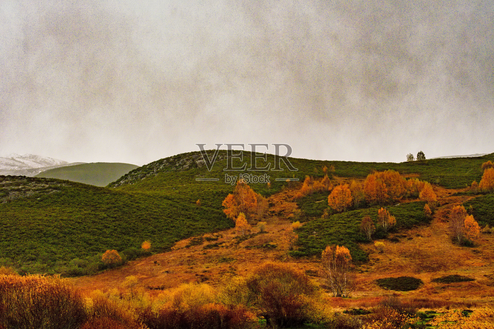 阿斯图里亚斯的内部景观照片摄影图片
