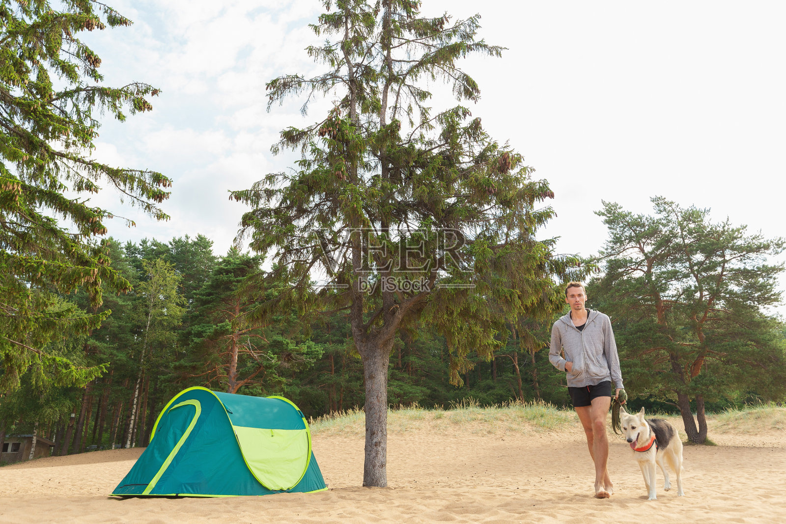 沙滩上,一个男人带着狗在树下的帐篷旁照片摄影图片