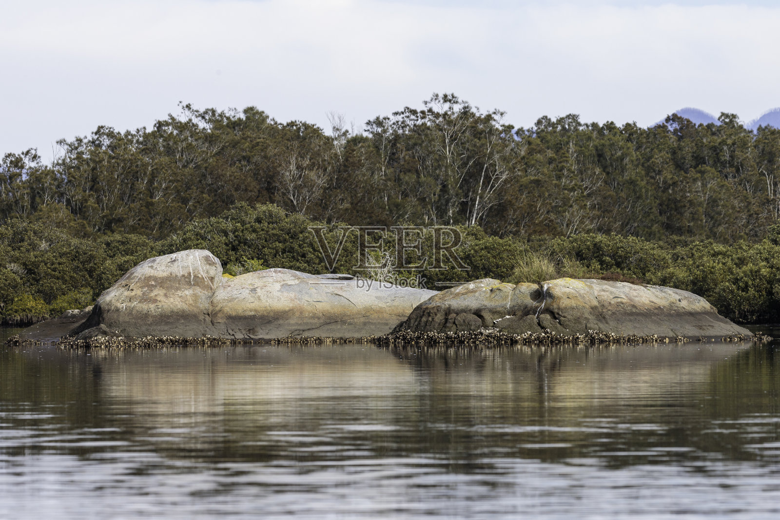 2021年7月,新南威尔士州莫鲁亚河马场溪的花岗岩卵石照片摄影图片