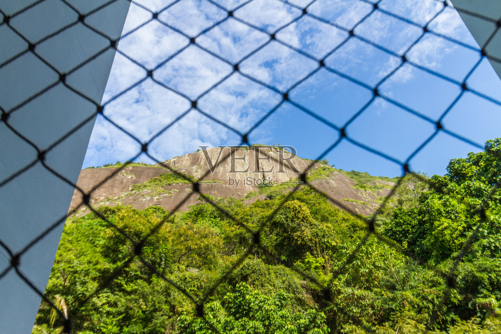 山上的山羊看到了科帕卡巴纳区照片摄影图片