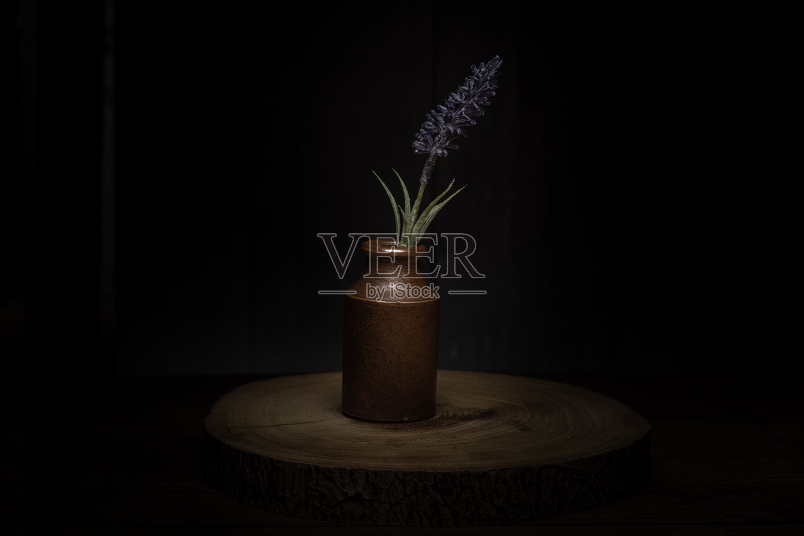 黑色背景下,一根人造薰衣草茎和一个陶制的瓶子。照片摄影图片