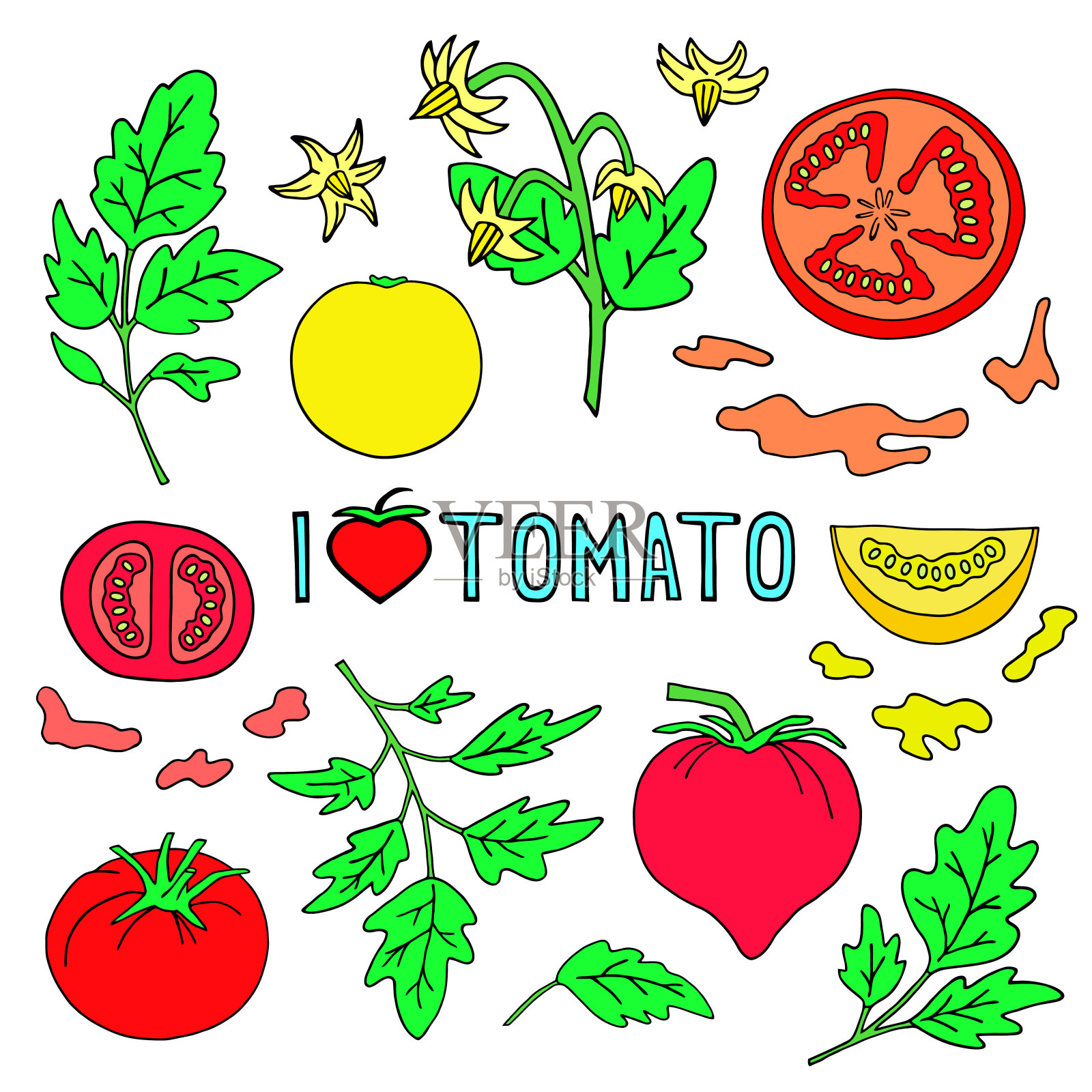 明亮的矢量插图与番茄和番茄切片的白色背景。一组元素。插画图片素材