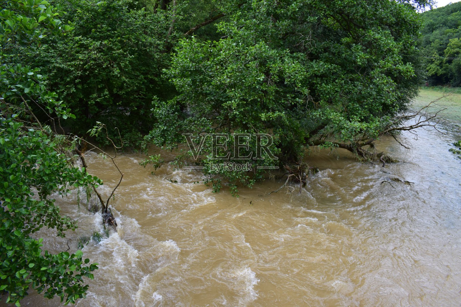 2021年7月,埃尔兹森林发生洪水照片摄影图片