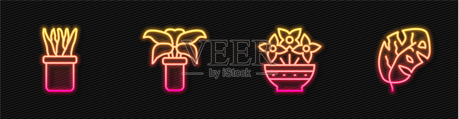 在花瓶花盆中设置线花异域风情插画图片素材