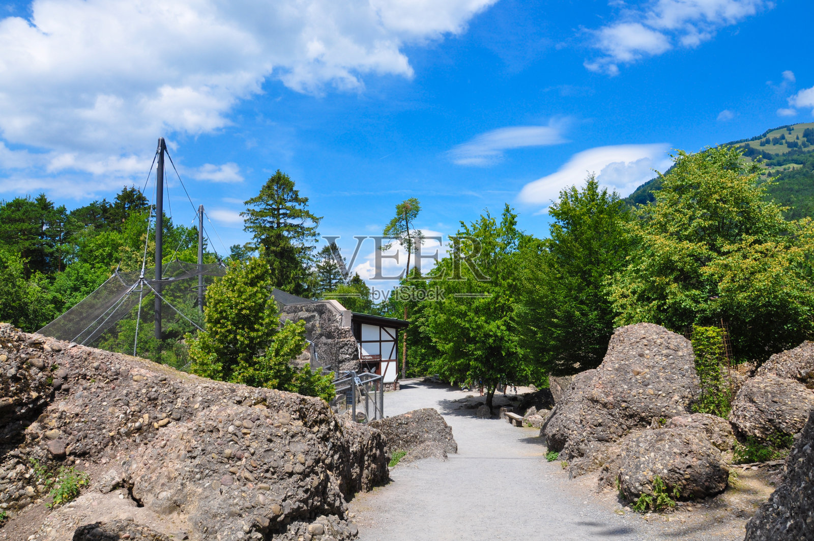 从高处俯瞰瑞士卢塞恩的金-戈尔道自然野生动物园。照片摄影图片