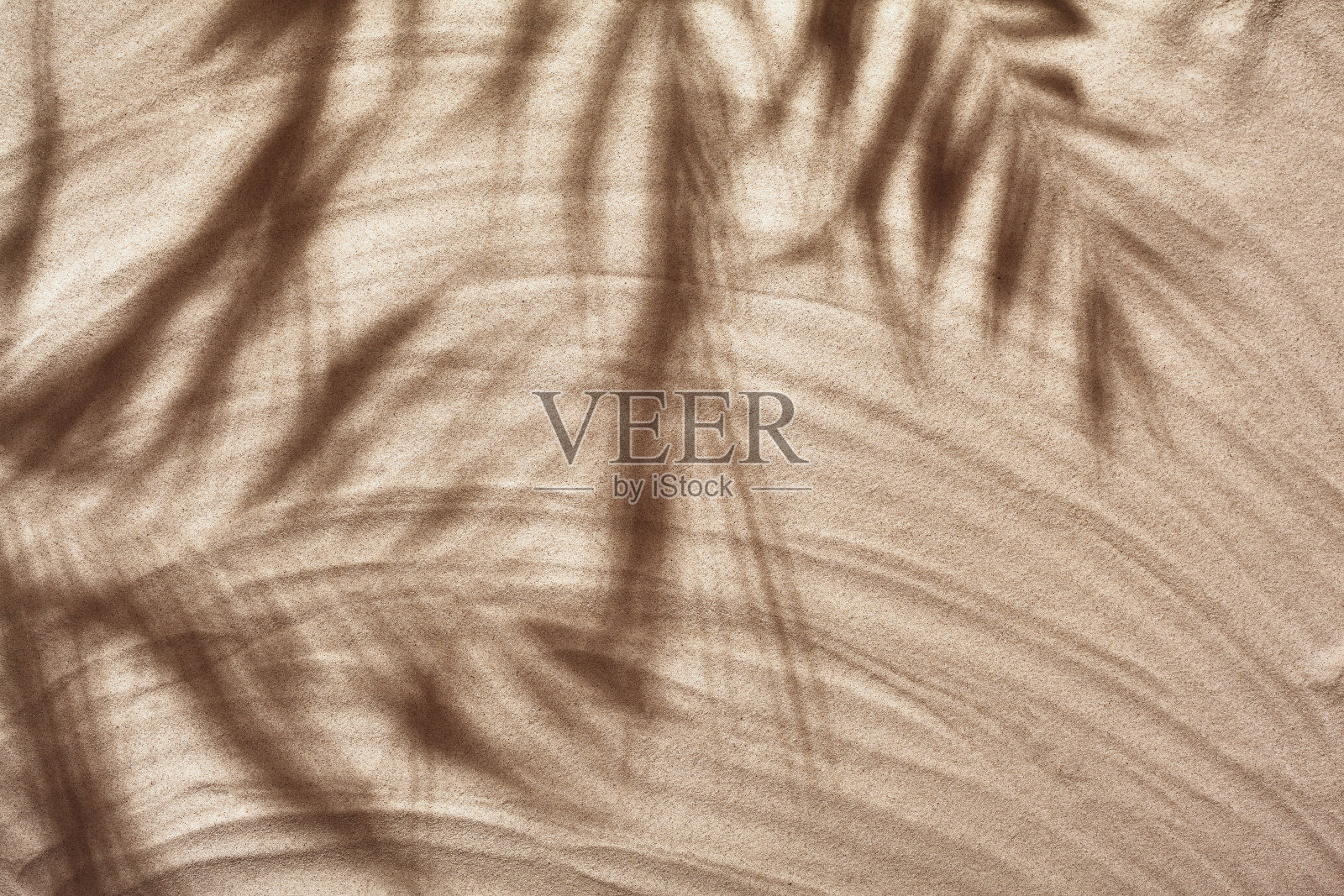 夏季概念与热带棕榈树树叶的阴影,copyspace在白色沙滩上的沙子照片摄影图片