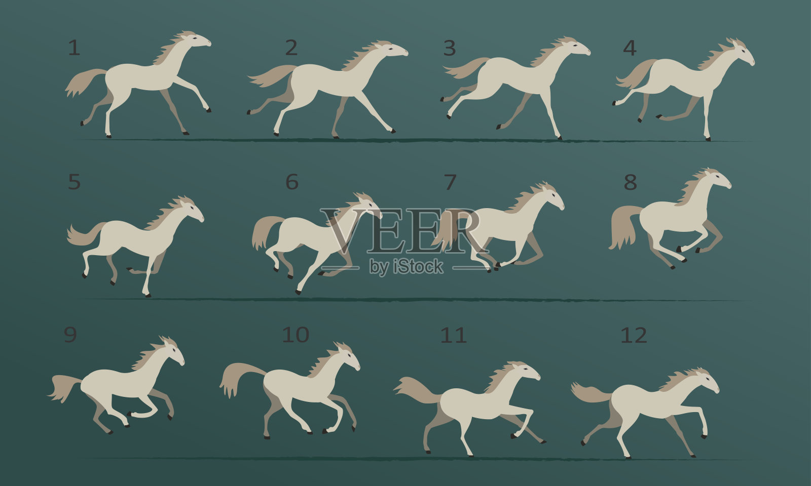 白马奔跑动画。跑马的十二个关键位置。矢量插图孤立的白色背景。插画图片素材