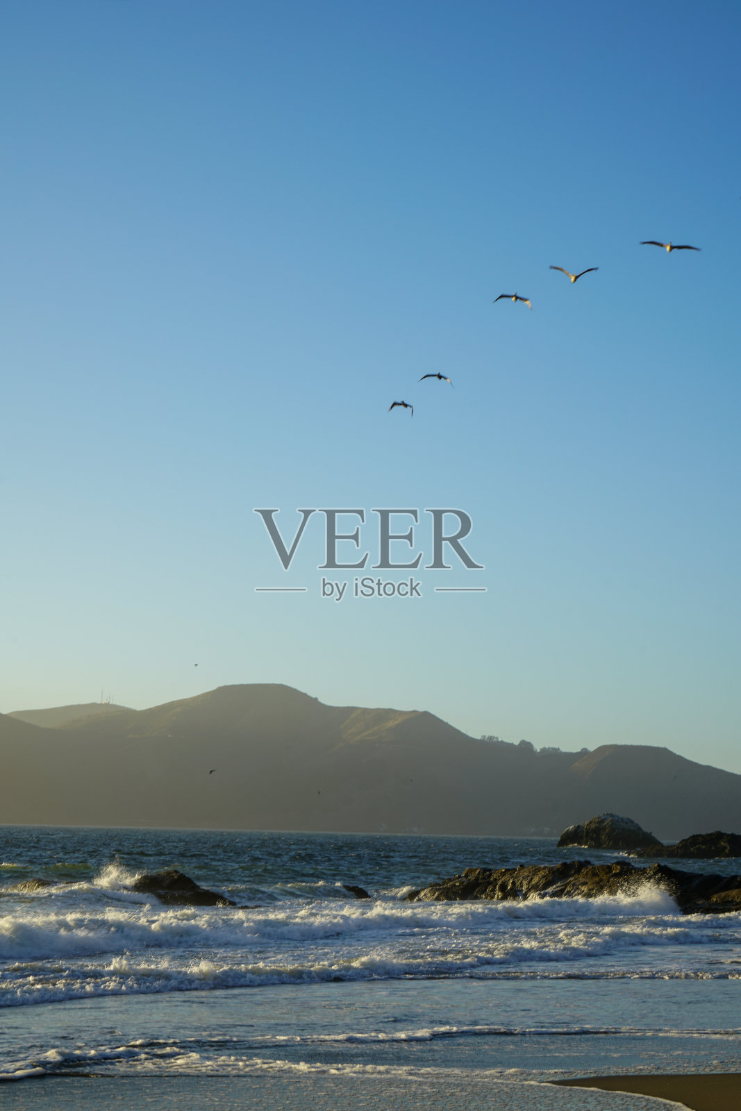 鸟儿在加州旧金山的贝克海滩上空飞翔照片摄影图片