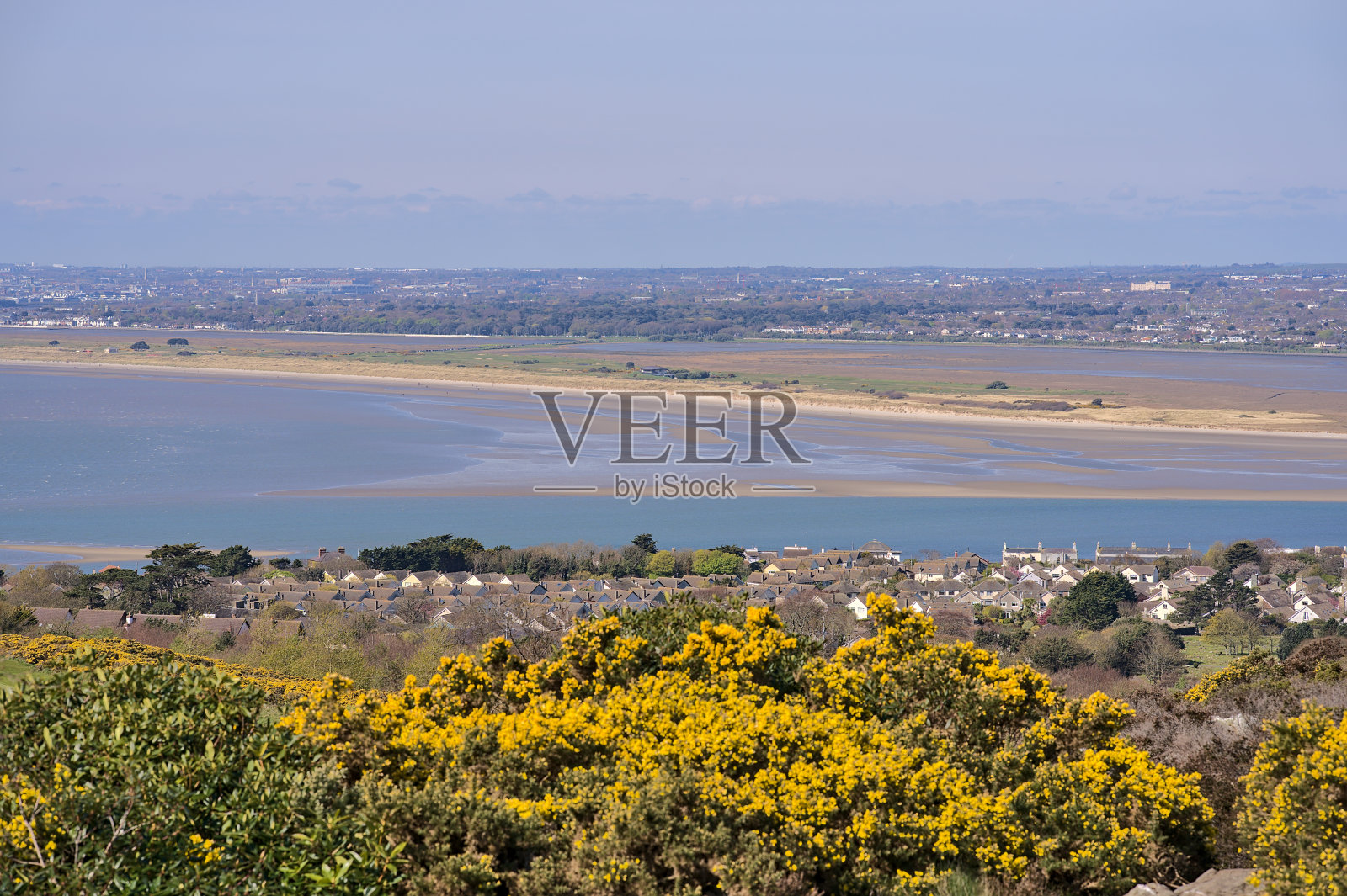 美丽的风景,空中的黄色金雀花(Ulex),爱尔兰的海,海滩,都柏林湾,房屋屋顶从都柏林,爱尔兰照片摄影图片