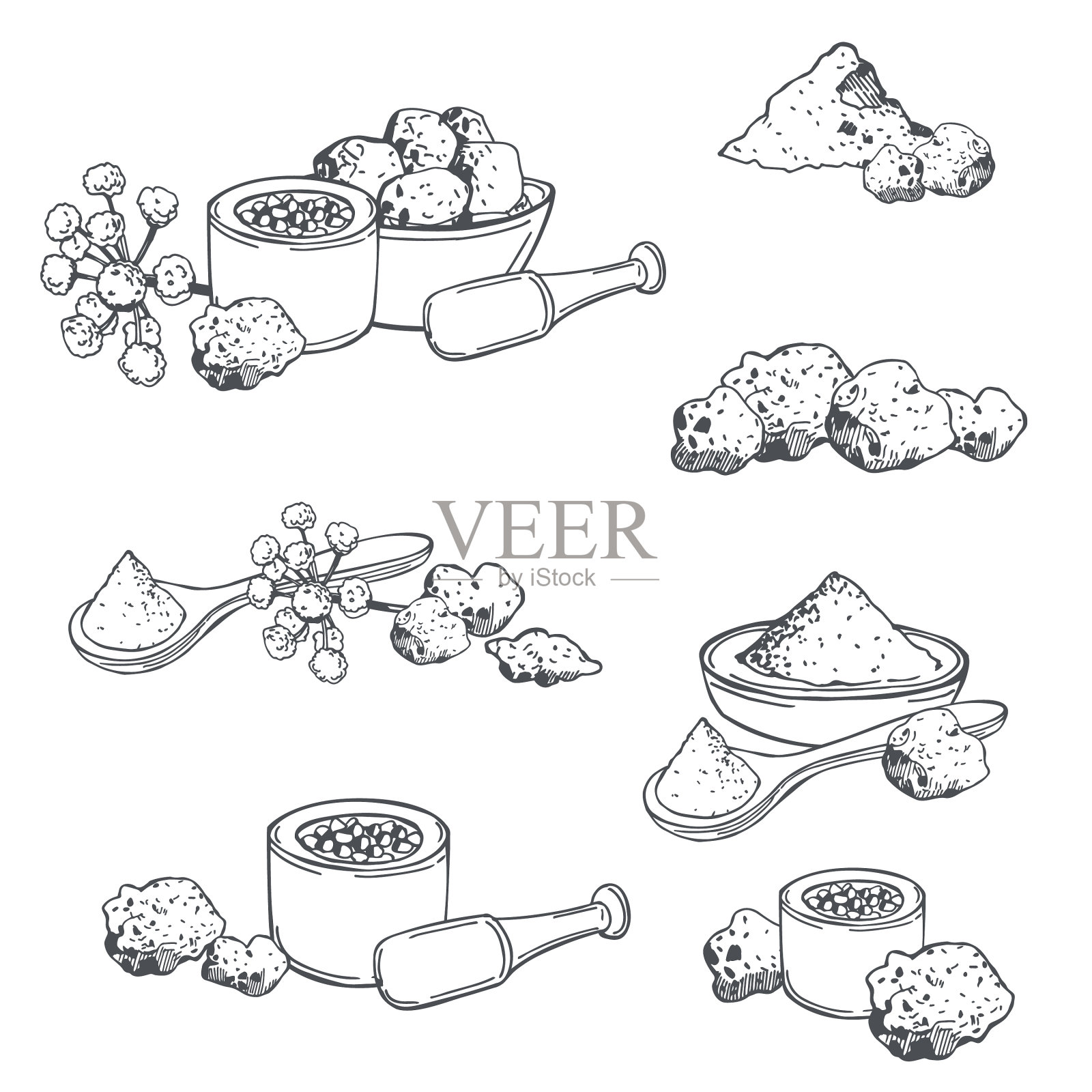 印度香料阿魏插画图片素材