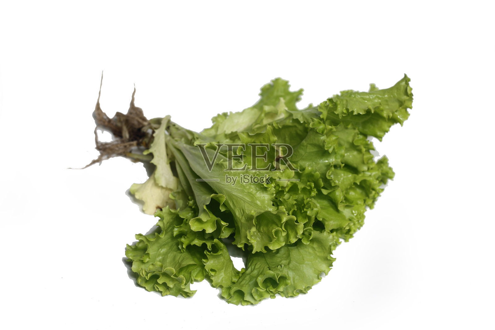 绿色的生菜孤立在白色的背景上照片摄影图片