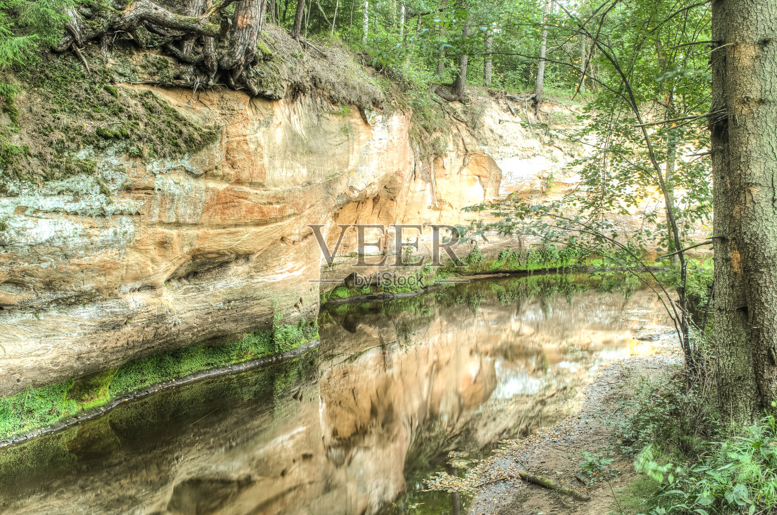 拉脱维亚罗哈河边的勒马努悬崖照片摄影图片